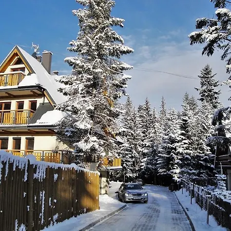 Egzotyczny Bory * Zakopane