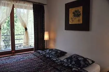 Egzotyczny Bory