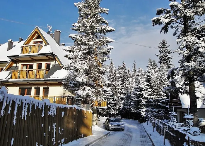 Egzotyczny Bory * זקופאנה