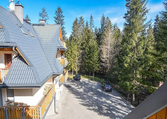 Egzotyczny Bory * זקופאנה